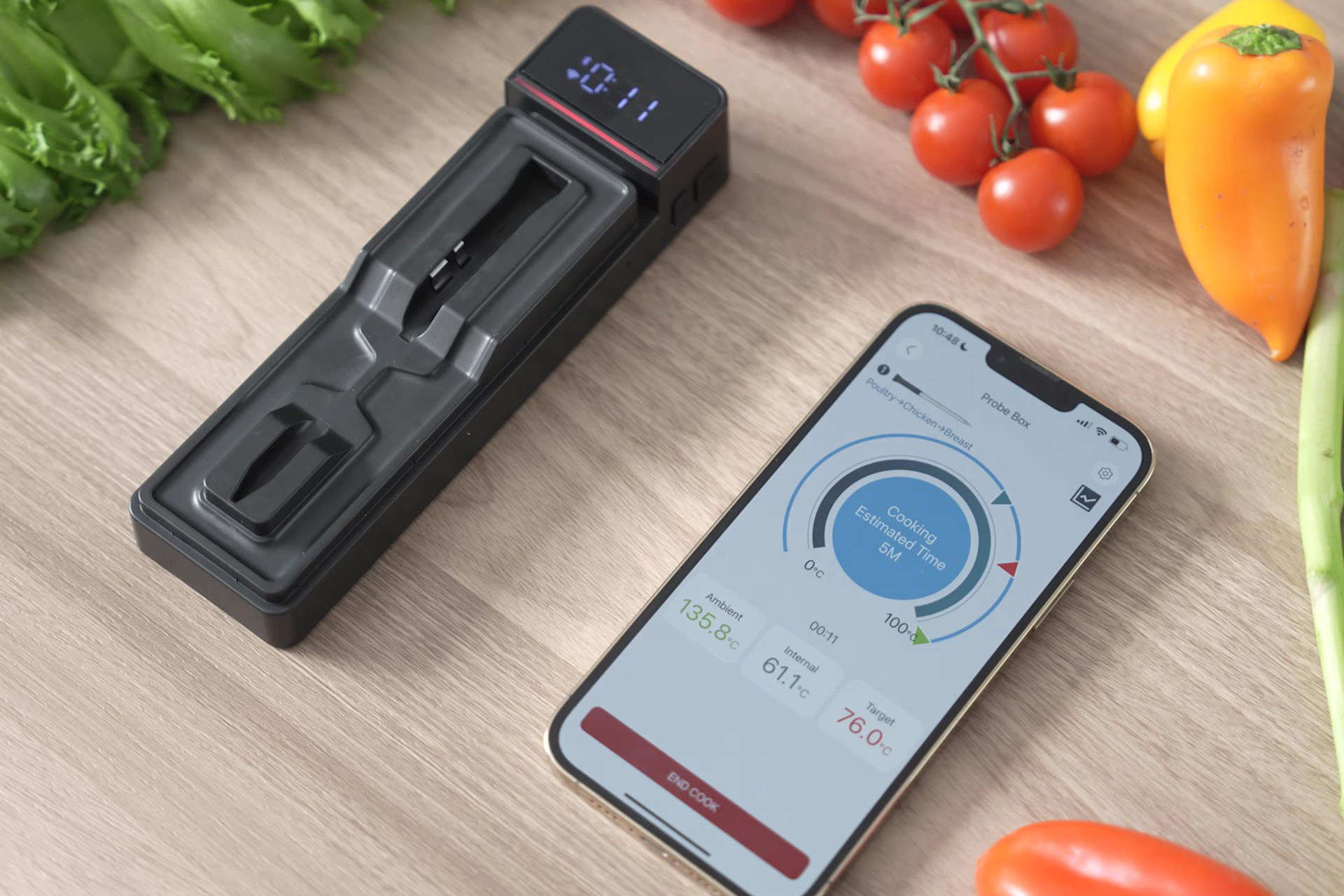 Argion Wireless Meat Thermometer