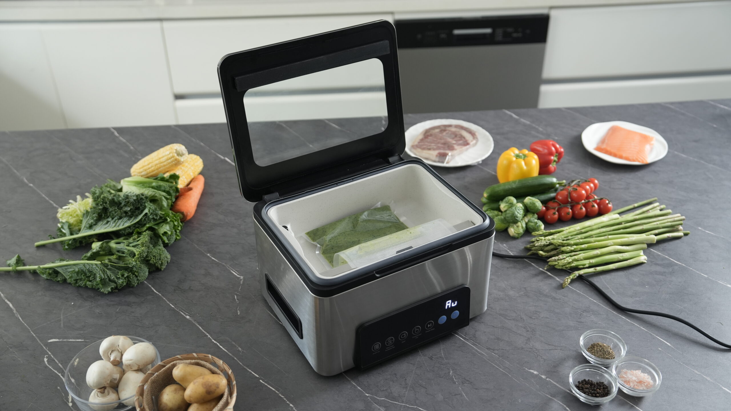 Argion chamber vacuum sealers