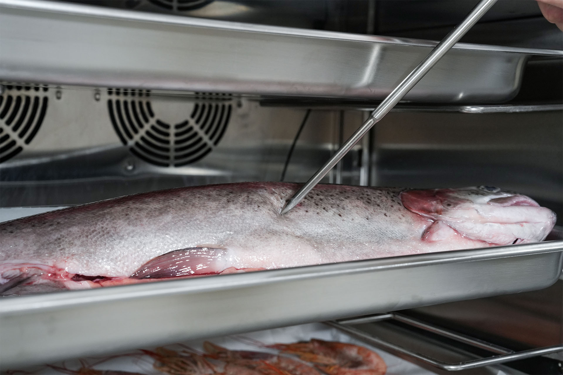 Probe of blast chiller