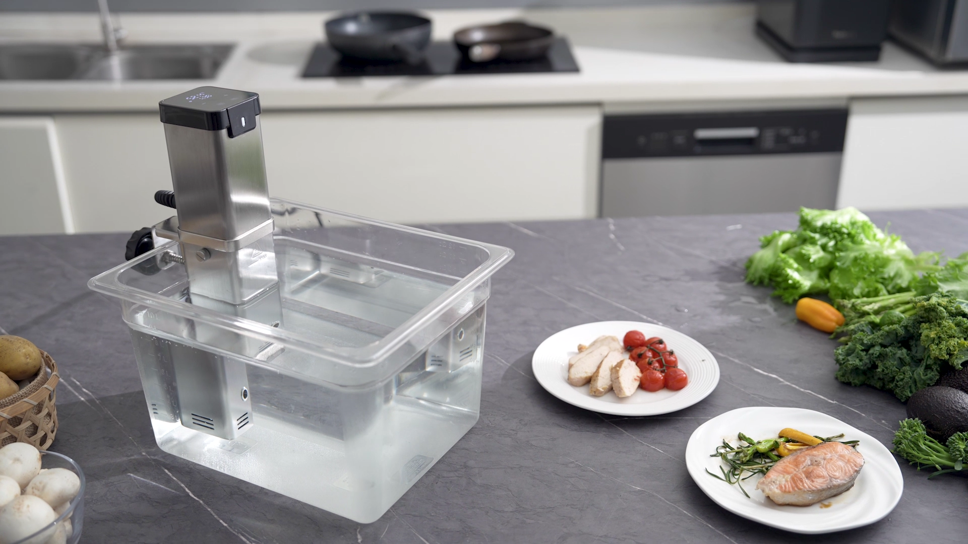 SV133 sous vide with foods